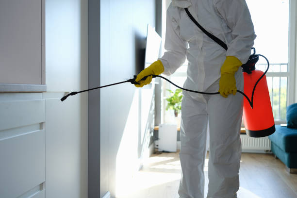 Best DIY Mold Remediation Support Services in Mechanicsville, VA