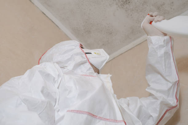 Best Mold Remediation for Specific Building Types in Mechanicsville, VA